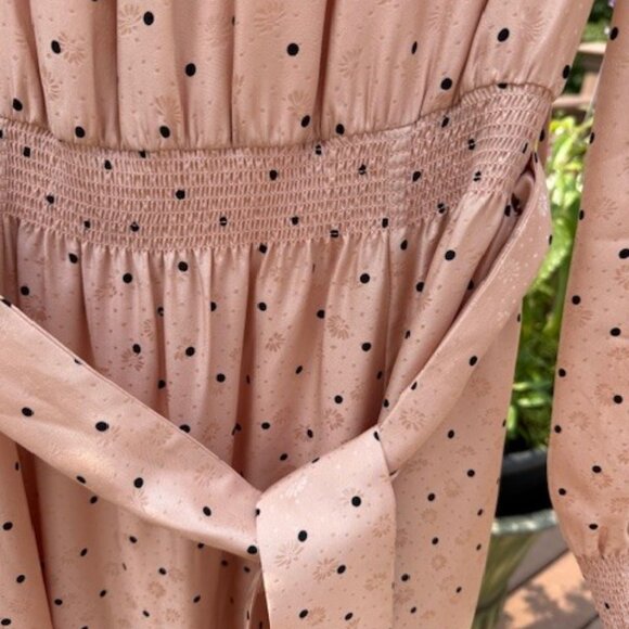 Sezane Justine Silk L/S  Midi Dress - Picture 6 of 6